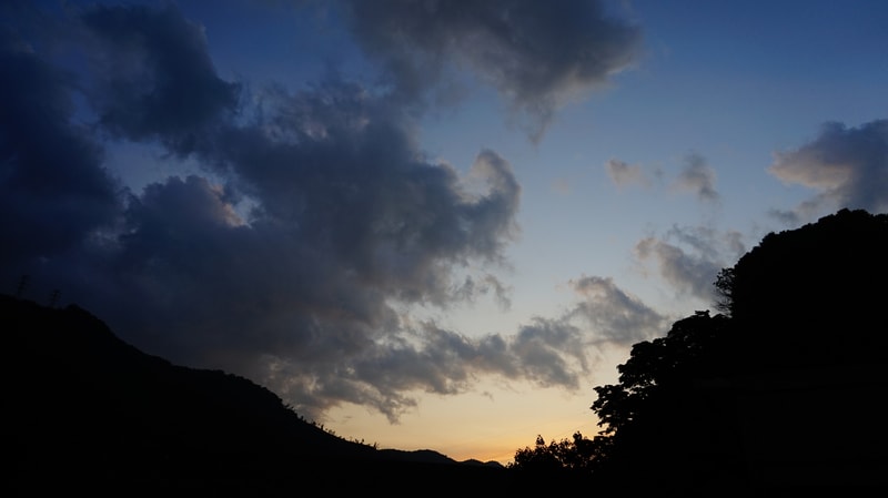 _DSC6787.JPG