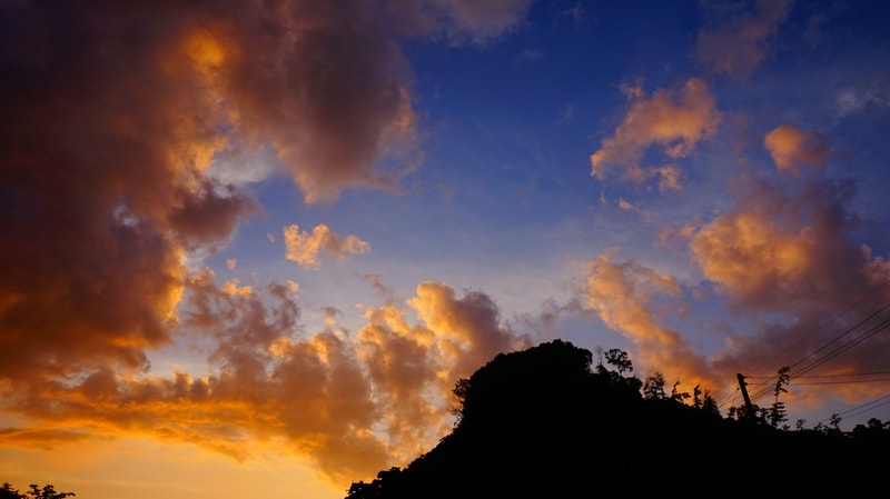 _DSC6589.JPG