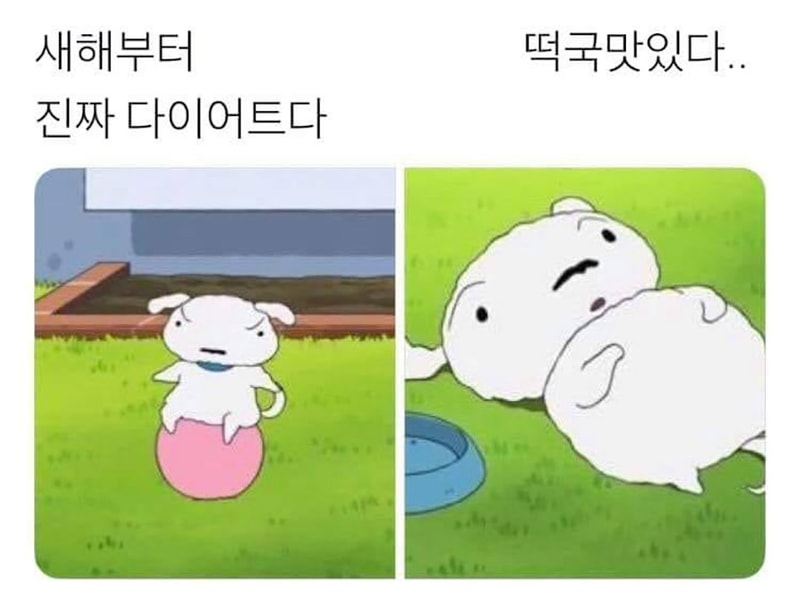 새해부터 진짜 다이어트다.jpg