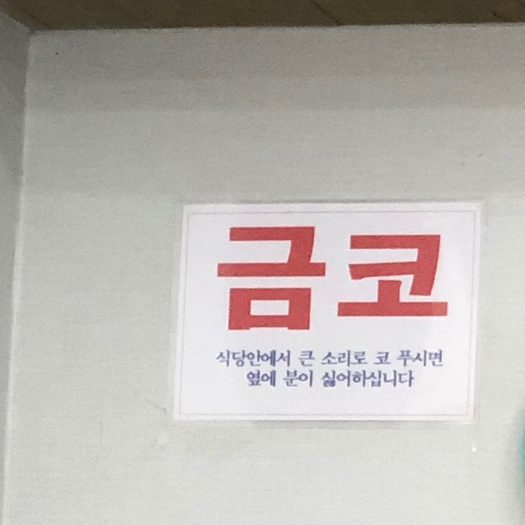금연대신금코.jpg
