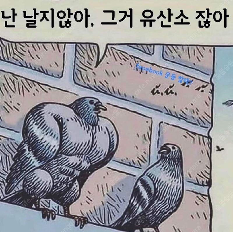 근손실.jpg