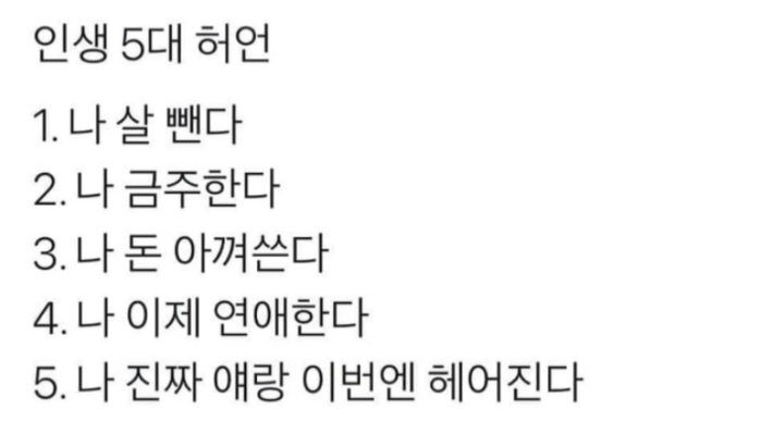 인생 5대 허언.png