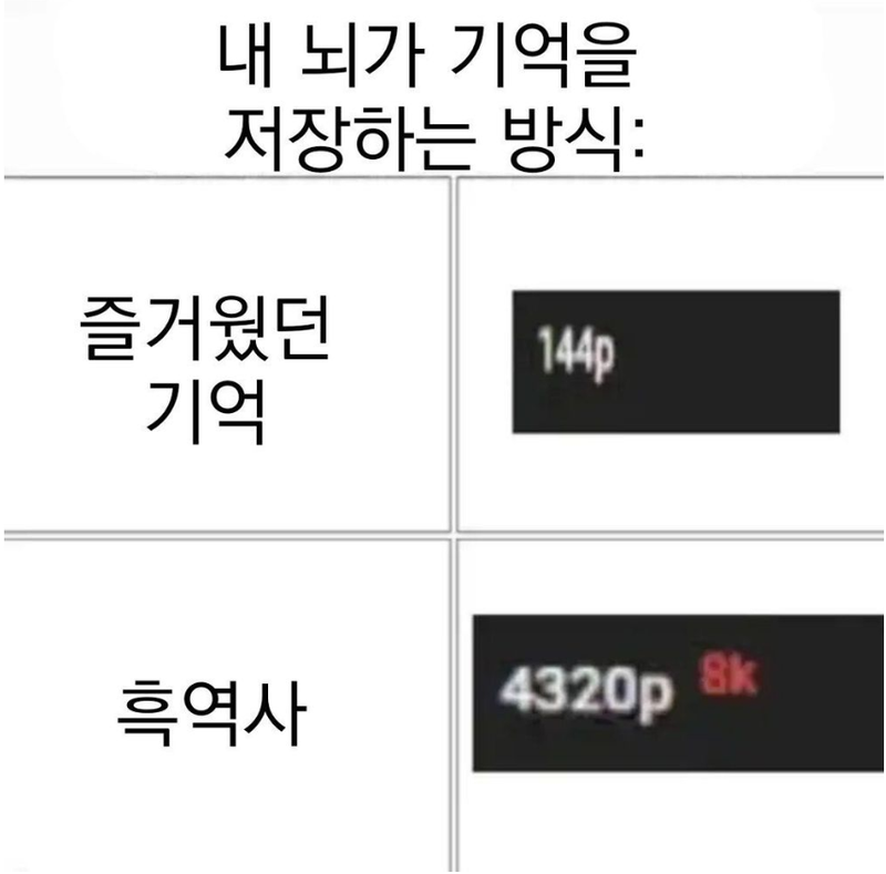 뇌 기억.png