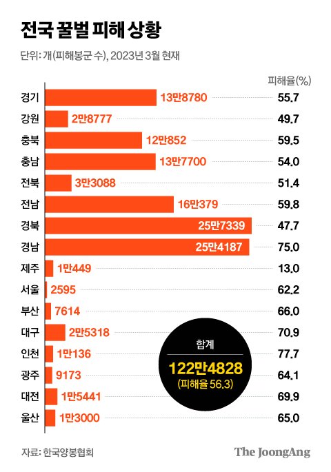 꿀벌 피해.jpg
