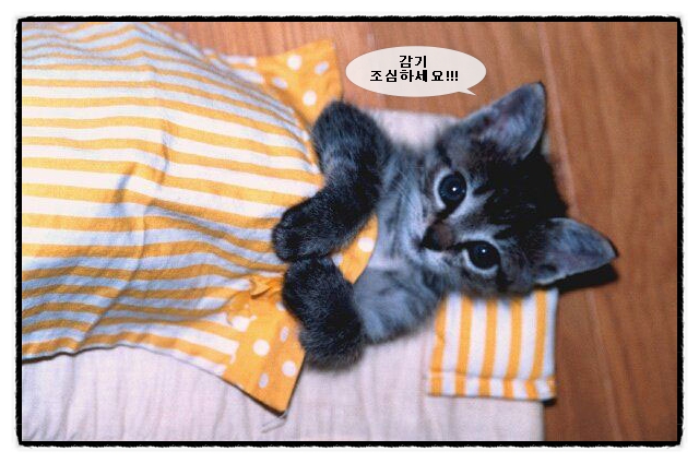 감기.jpg