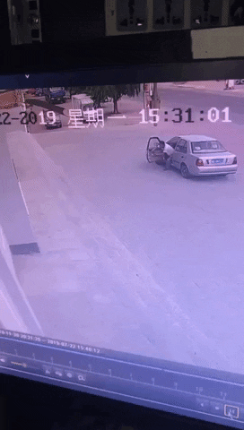 IMG_9364.GIF