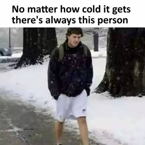 c040163889e4c63e621123009.jpg