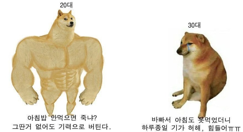 0923A73C-96E8-42D7-BED0-DA8F775BBF28.jpeg