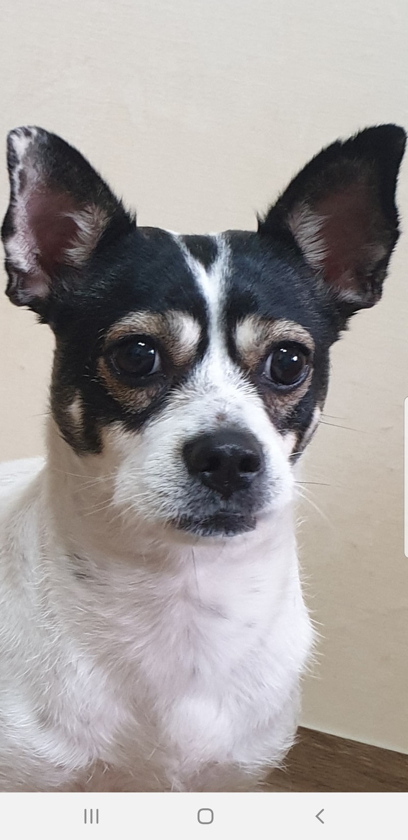 Screenshot_20190626-012008_KakaoTalk.jpg