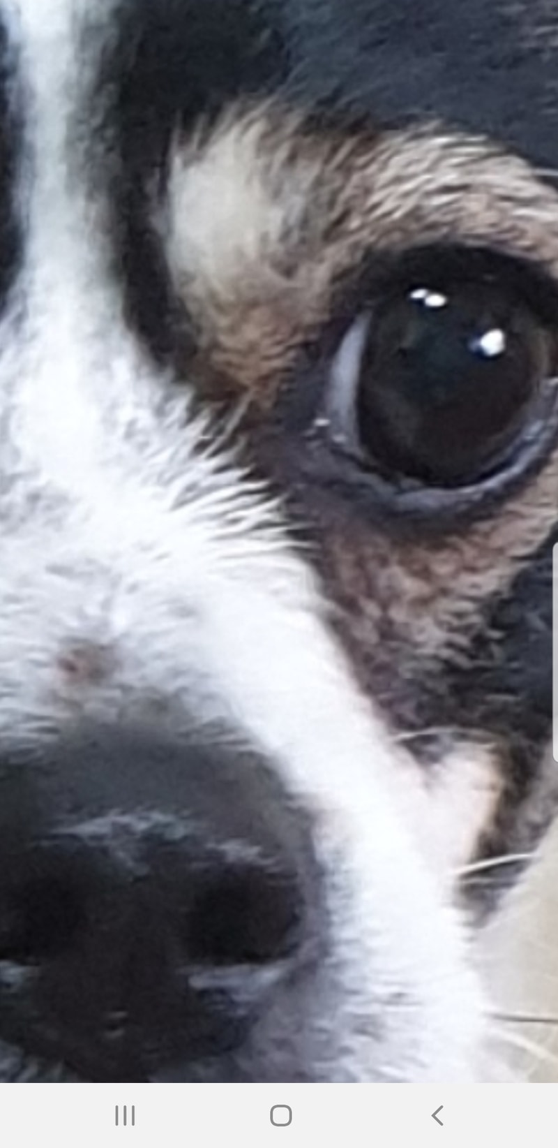 Screenshot_20190626-012044_KakaoTalk.jpg