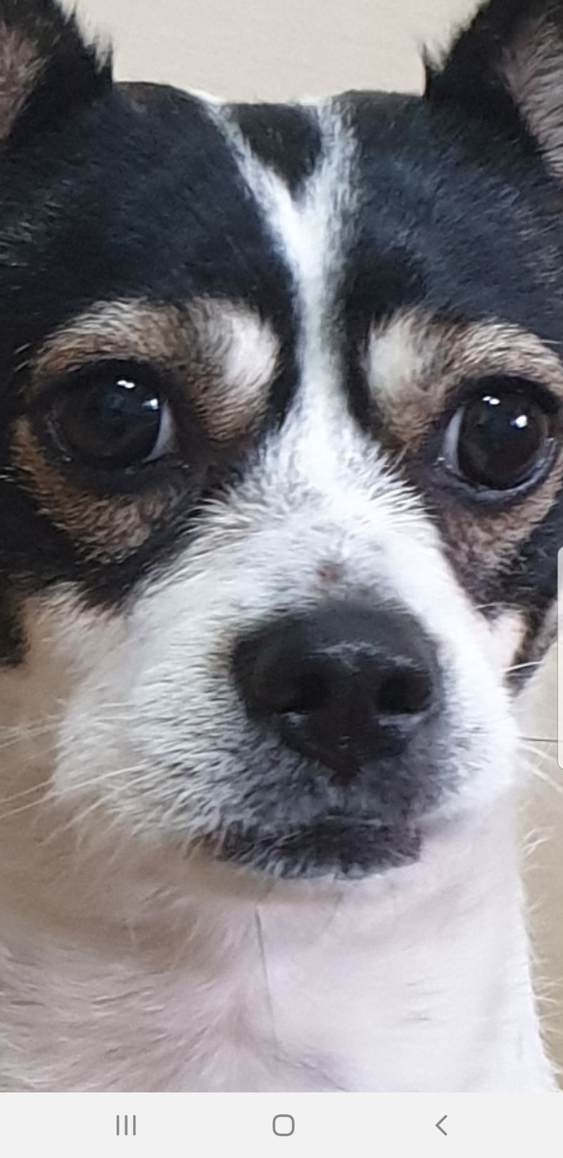 Screenshot_20190626-012021_KakaoTalk.jpg