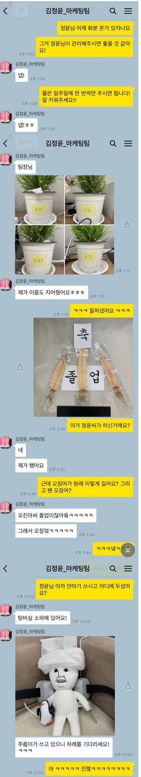 신입.png