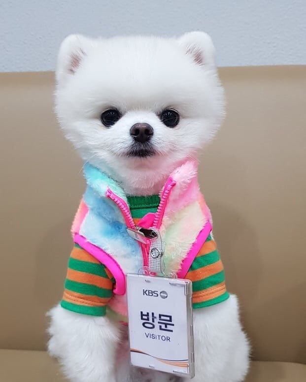 연기3.jpg