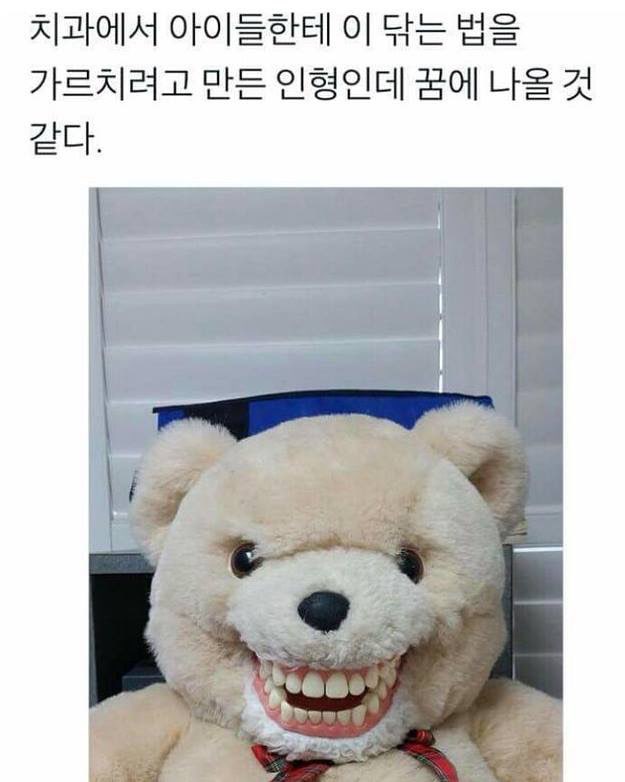 치아.jpg
