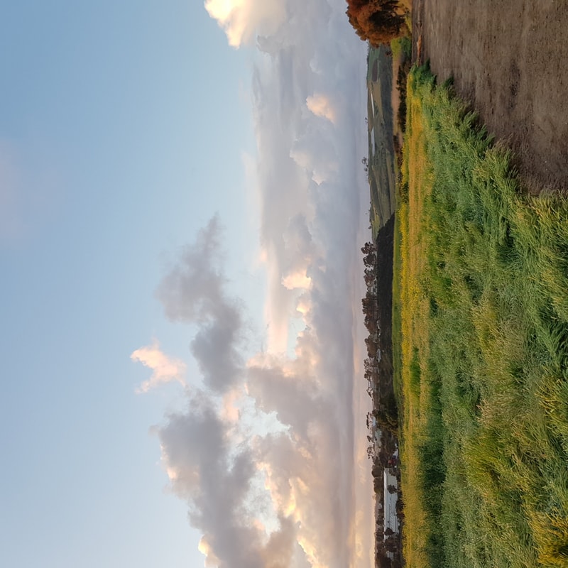 20190320_185256.jpg