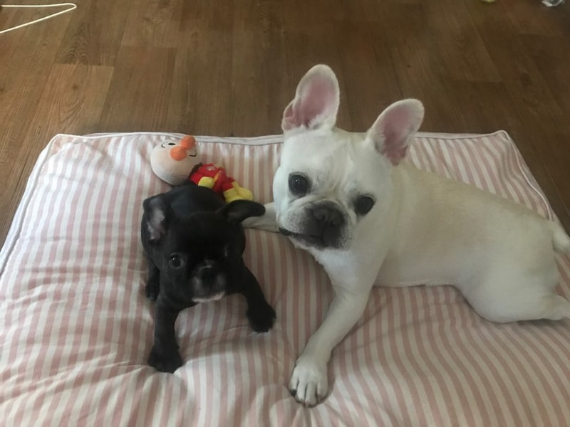 KakaoTalk_20190928_205419456.jpg