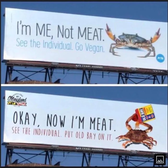 Checkmate-Peta.jpg