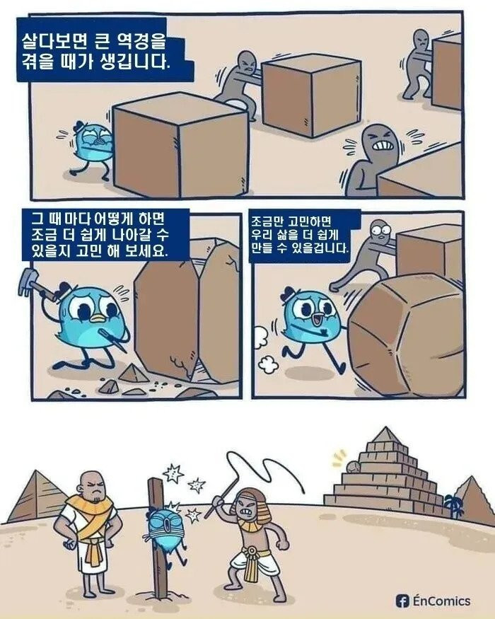 16677147286314.jpeg