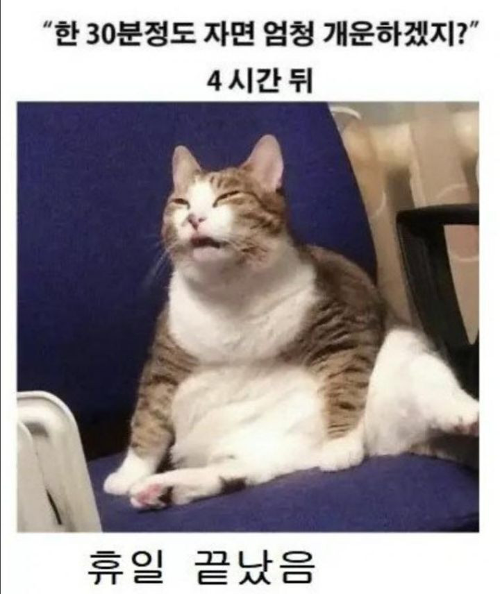 16671422370334.jpeg