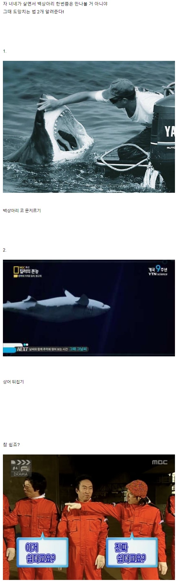 웹 캡처_10-4-2023_141651_m.bboom.naver.com.jpeg
