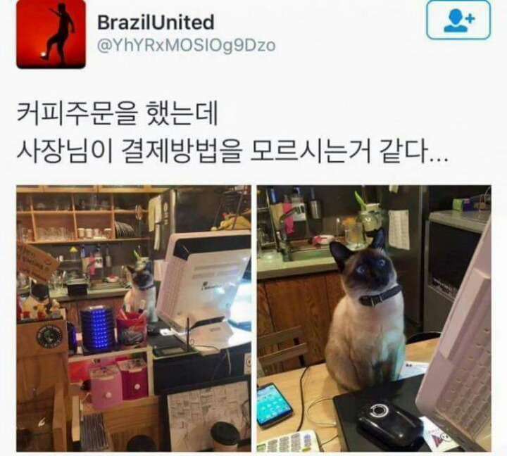 결제방법을_모르시는_카페_사장님.jpg
