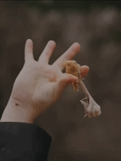 3.gif