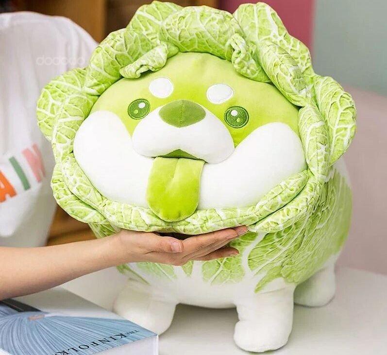 17133553993823.jpeg