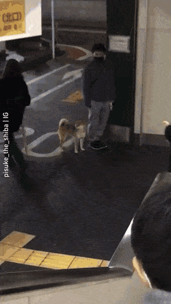 e6a19b3c50ddb4c29a3597daaae7feb900f5576e.gif