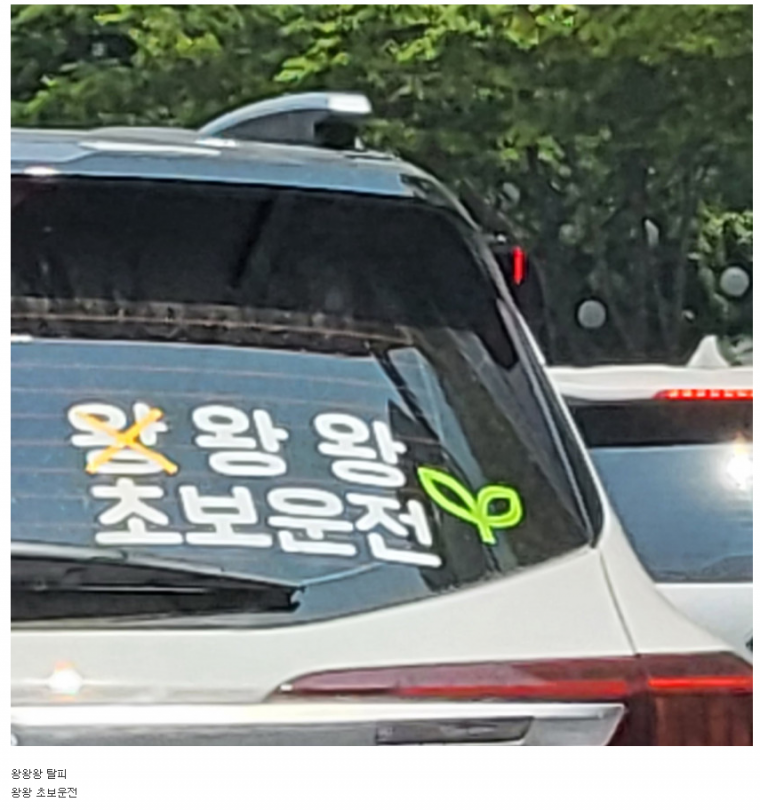 점차_성장해가는_초보운전.png