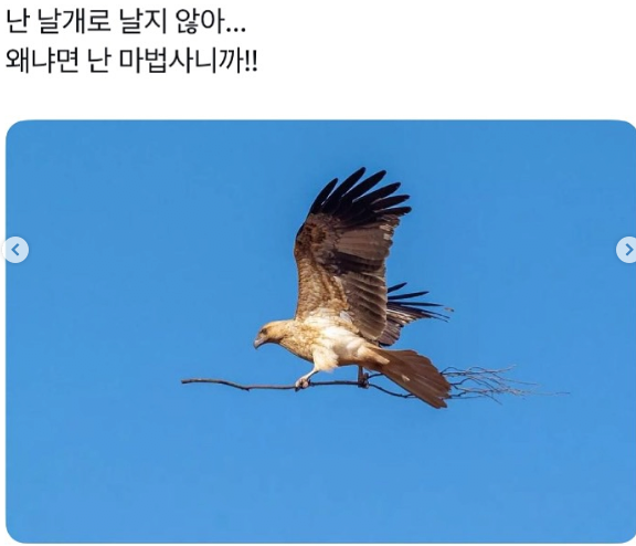 8286907431_486616_2fc21fa7102a458cb562b95f92973125.png