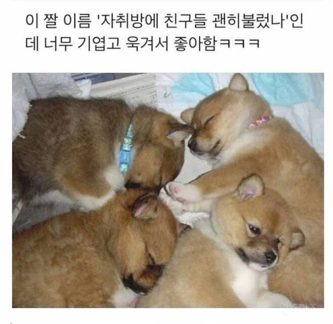다운로드.jpg