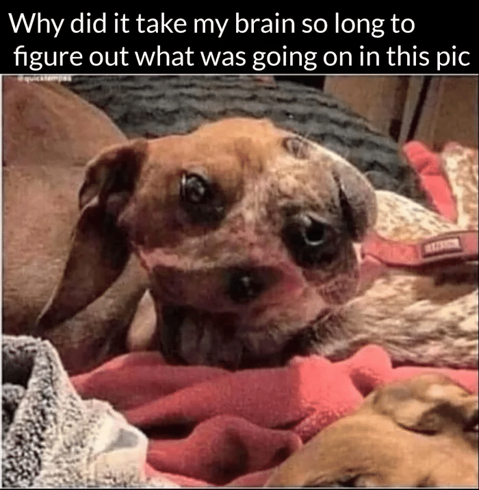 77af395556d7a1f6b6714e6bbc8ef26cdb0c6e66.png