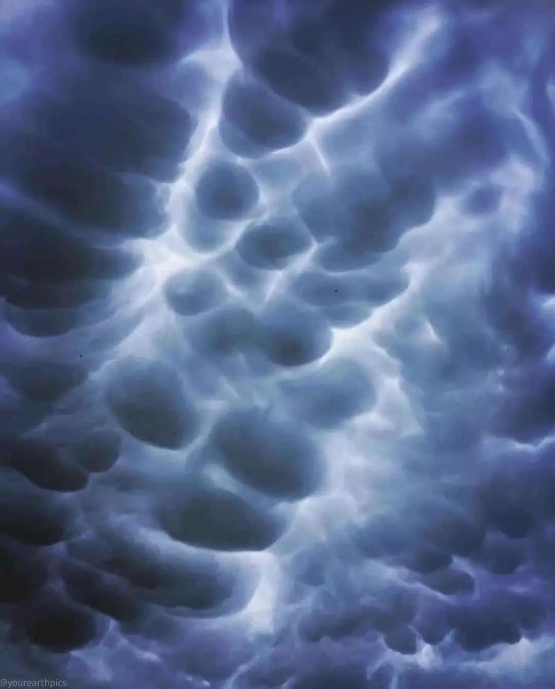 252394893_2785684378397462_4548974275553810089_n.jpg