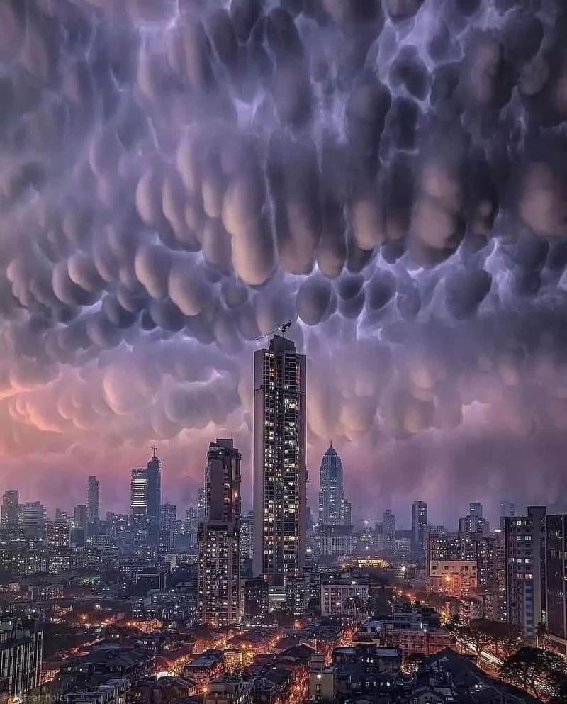 252474815_2785684425064124_6243718472428044351_n.jpg