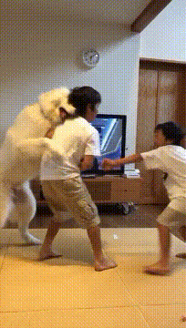 r_rbf9cb1001_ea26f4fe9dc2bffbf873066b033144b8dbf487e7.gif