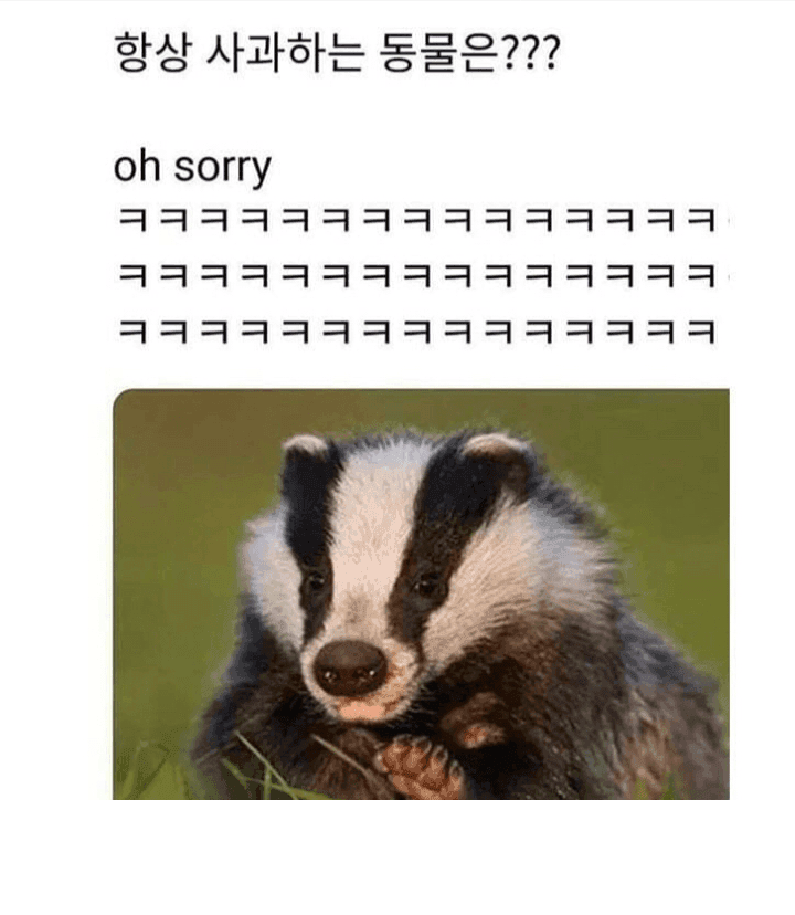 1604233517189.png