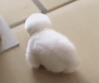6F620606-2D46-4990-A819-AE89F5898DD0.gif