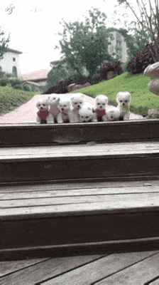 9ca44d2e5e40e8e66a987091e95610a48887d92d.gif