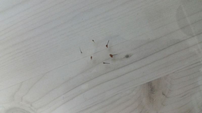 크기변환_120150715_212343.jpg
