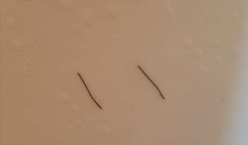 1508252028203.jpg