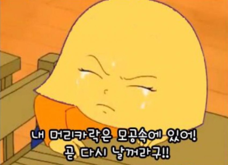 탈모갤2.jpg