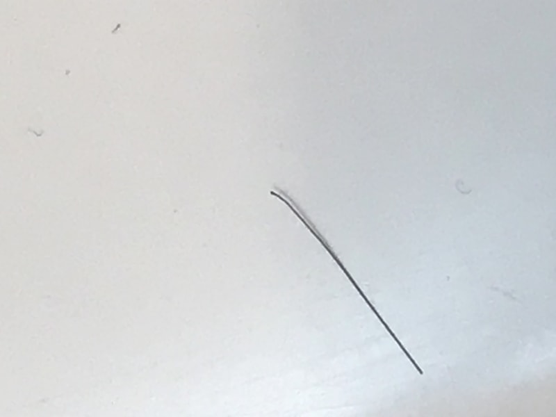 3EAE82B8-629D-4C00-A465-278D0F2EF0AE.jpeg