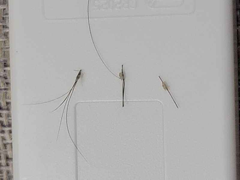 20220923_235514.jpg