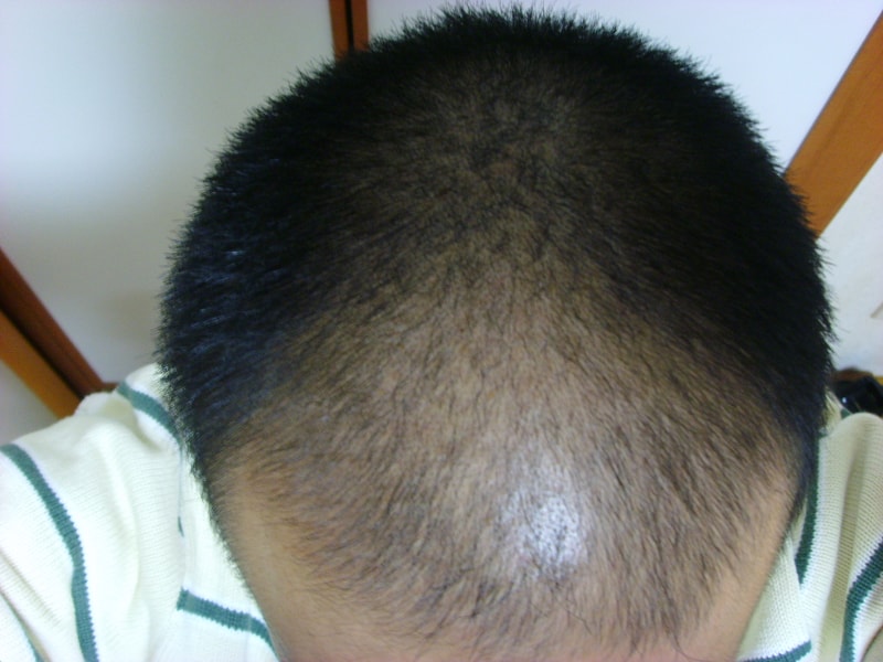 SSL20007.JPG