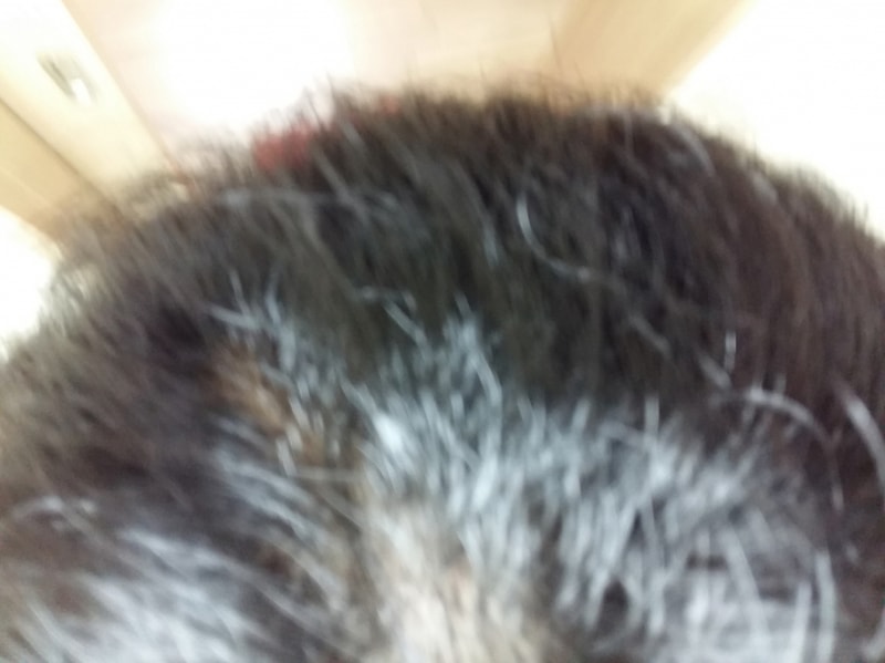 크기변환_KakaoTalk_20150906_201623195.jpg
