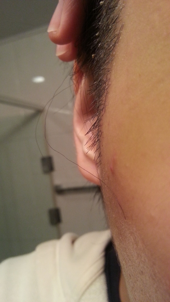 20150429_144601.jpg