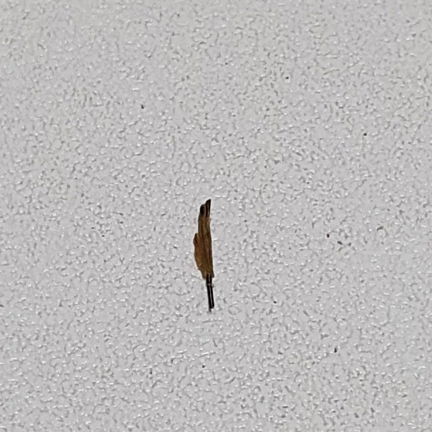 20211018_184714.jpg