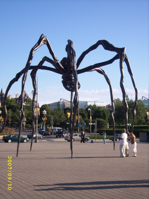 SPA52750.JPG