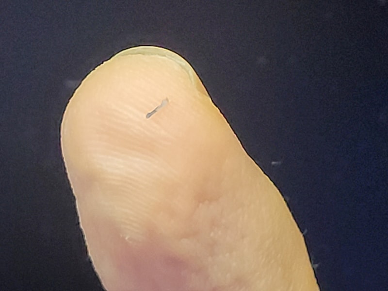 KakaoTalk_20220119_095812961.jpg