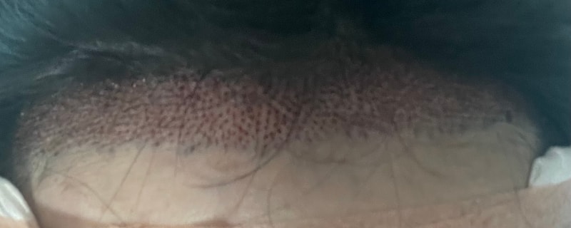 IMG_5210.jpeg